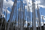 vnm_0626