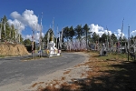 vnm_0818