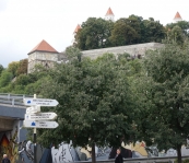 DSC00704