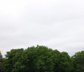 DSC03232