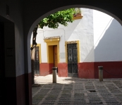 DSC06171