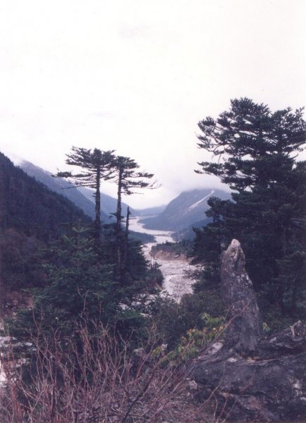 majestic-meandering