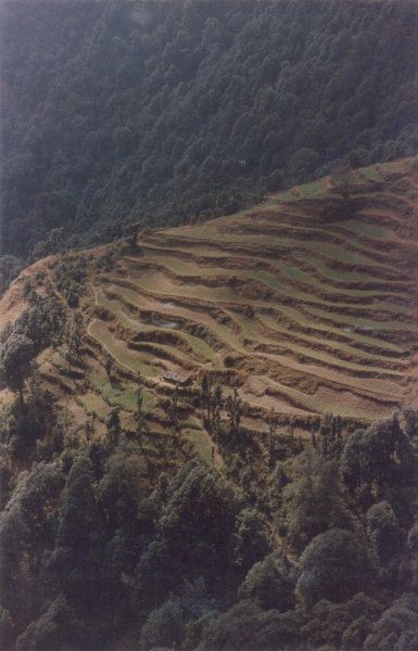 terraced-isolation