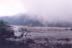 awesome-wilderness