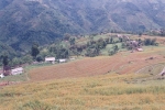 himalayan-glimpses-007