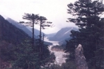 majestic-meandering