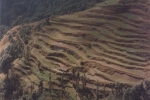 terraced-isolation