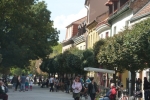 P1050272