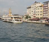 VNM_5313