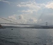 VNM_5366