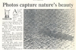 03-10-2000-indian-express