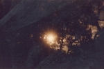 genesis