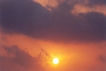 golden-orb