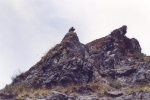 vvulture-rock