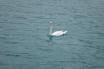 DSC00292