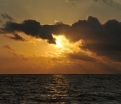 VNM_3354