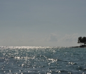 VNM_3356