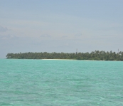 VNM_3363