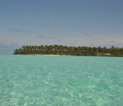 VNM_3364
