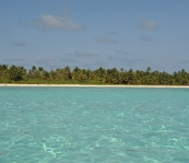 VNM_3365