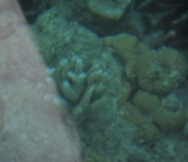 VNM_3536