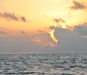 VNM_3630