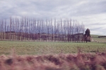 mairas-world-002