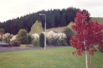 mairas-world-003