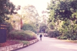 mairas-world-006