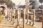 mairas-world-016