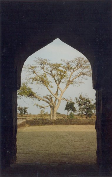 roopmatis-countyard
