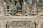 champa-baodi
