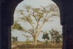 roopmatis-countyard