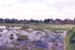 view-of-juna-mahal-and-mahal-from-jehaz-mahal