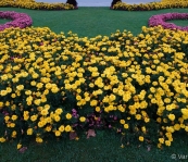 DSC00131