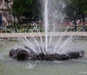 DSC00142