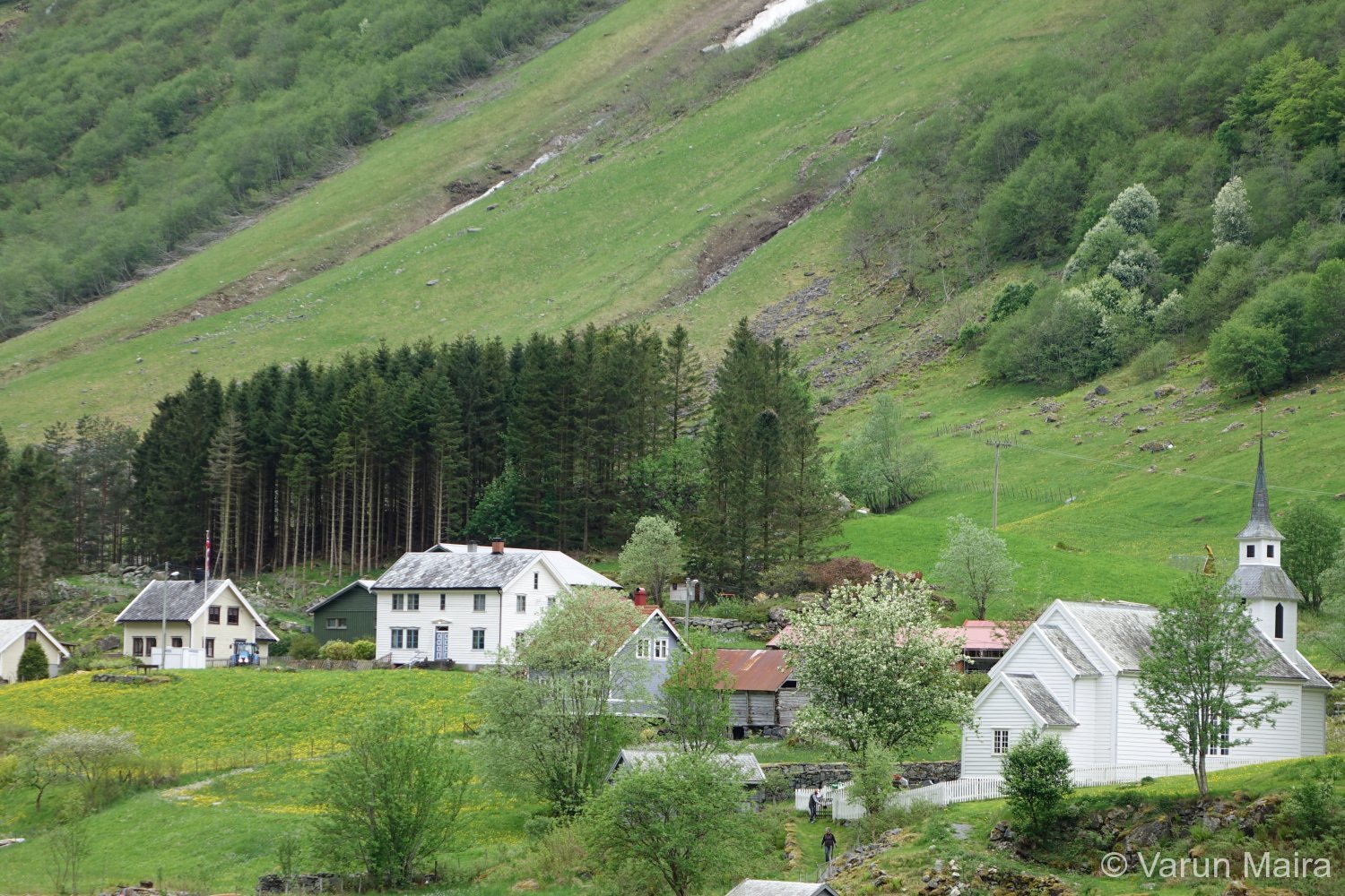 DSC02430