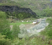 DSC02342