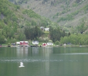 DSC02407