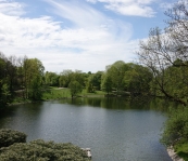 DSC02132
