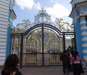 DSC03456