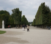 DSC00880