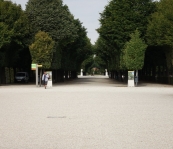 DSC00890