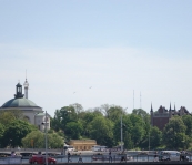 DSC02680