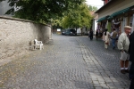 DSC01250